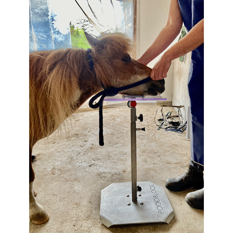 Modulært positioneringssystem til heste, eksempel 3